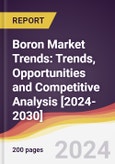 Boron Market Trends: Trends, Opportunities and Competitive Analysis [2024-2030]- Product Image